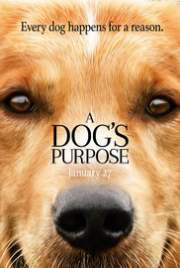 A Dogs Purpose 2017