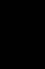 XX 2017